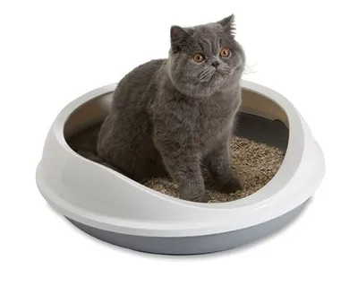 Image de Savic toilette pour chat "Figaro" 55 x 48,5 x 15,5 cm gris