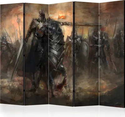 Produktbild von 5-teiliger Einseitiger Vlies Paravent - Dragon castle II 225x172 cm Für Kinder g-A-0080-z-c