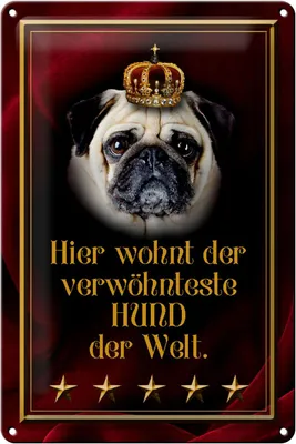 Produktbild von Blechschild Spruch 20x30cm hier wohnt Hund der Welt