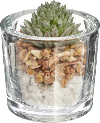 Produktbild von Künstliche pflanze h10cm  - Atmosphera créateur d'intérieur
