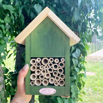 Image de Hôtel à insectes - coloris aléatoire