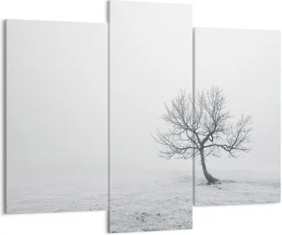 Produktbild von Bild auf Leinwand - Leinwandbild - Baum Feld Natur - 130x100cm - Wand Bild - Wanddeko - Wandbilder - Leinwanddruck - Bilder - Kunstdruck - Wanddekoration - Leinwand bilder - Wandkunst - CB130x100-3683