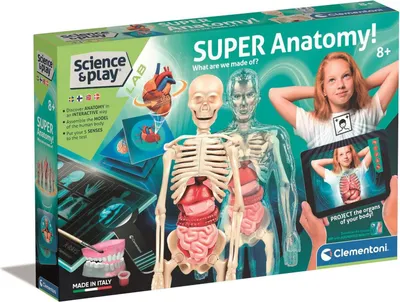 Produktbild von Clementoni Super Anatomy - tiedesetti