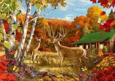 Image de ENJOY Puzzle Quelque part dans le champ 1000 pièces