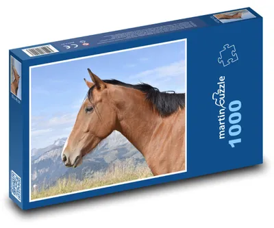 Obrázek produktu pro martinpuzzle - Puzzle 1000 - Kůň - zvíře, hříva