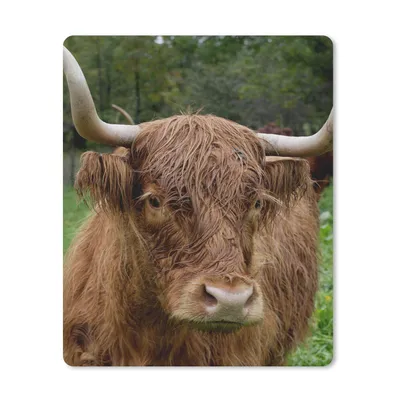 Produktbild von MuchoWow® Mauspad Mousepad Schottische Highlander - Tiere - Gras 19x23 cm - Mousepads - Maus Mat - Pad - Mausunterlage - Mauspads - Spielen