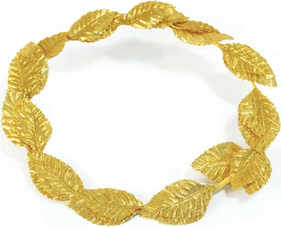 Produktbild von Gold Deluxe Roman Laurels Costume Accessory Size One Size