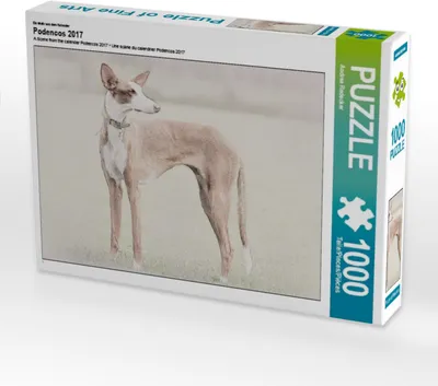 Produktbild von Calvendo Ein Motiv aus dem Kalender Podencos 2017 1000 Teile Puzzle quer 640x480mm, Redecker Andrea; 7366666