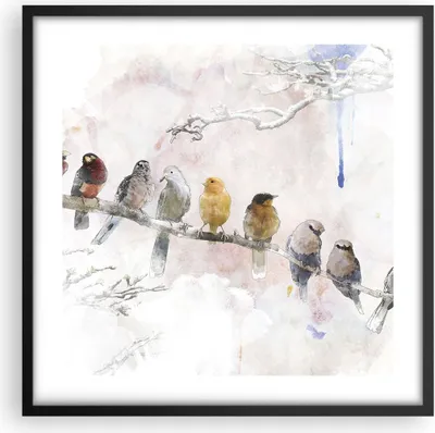 Produktbild von Gerahmtes Poster - Schwarzer Rahmen - Vögel Kanarienvogel Zweig - 50x50 cm - Wand Bild - Wanddeko - Wandbilder - Wandposter - Bilderrahmen - Bilder - Kunstdruck - Wandbild - P2BAC50x50-4175