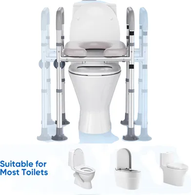 Image de Siège de toilettes surélevé, hauteur réglable, surface antidérapante, gris clair