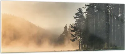 Produktbild von Bilder auf glas - Einteilig - Nebel See Wald - 140x50cm - Glasbilder - Wandbilder - Bilder - zum Aufhängen bereit - Wanddekoration aus Glas - Glas Bilder - Wandbild auf Glas - GAB140x50-4440