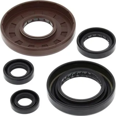 Obrázek produktu pro Sada motorových těsnění WINDEROSA W822277