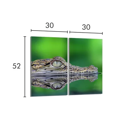 Imagen del producto de Placa de vitrocerámica protectora para cocina, 2 x 30 x 52 cm, marca Crocodile