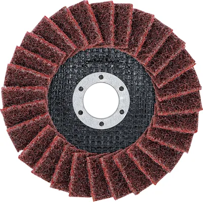 Image de BGS Disque abrasif en éventail Ø 125 mm Grainure 120 - 74474