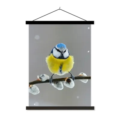 Produktbild von MuchoWow® Textilposter Blaumeise - Vogel - Zweig - Gelb - Blau 90x120 cm mit schwarzem Rahmen - Dekoration