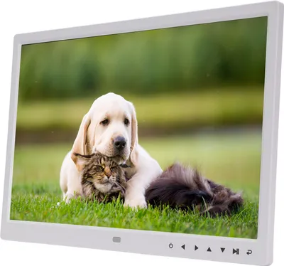 Zdjęcie produktu dla Wielofunkcyjna bezprzewodowa elektroniczna ramka na zdjęcia HD 15 cali 1080p z pilotem do reklamy domowej (wtyczka UE)