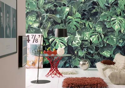 Produktbild von Komar Fototapete - Verdure - Größe: 368 x 254 cm (Breite x Höhe), Schlafzimmer, Wohnzimmer, Tapete