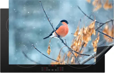 Produktbild von KitchenYeah© Herdabdeckplatte Schnee - Vogel - Tier , 83x51cm, Küche Deko, Glaskeramikkochfeld Herdabdeckung, Abdeckplatte fùr Kochfeld