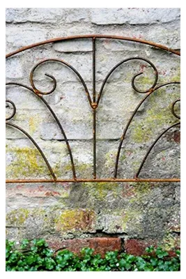 Produktbild von Beetzaun 71 x 64 cm Beetbegrenzer Rankgitter aus Metall, Beeteinfassung aus Volleisen