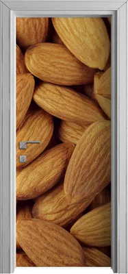 Produktbild von Tür Selbstklebende 80x210 cm Türfolie Türtapete Klebefolie - Mandeln Nüsse