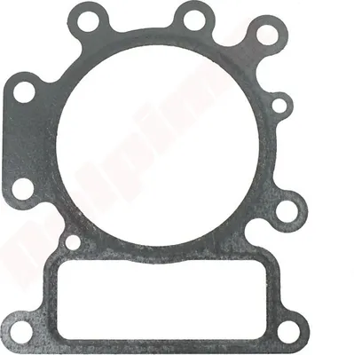 Obrázek produktu pro Těsnění hlavy pro Briggs & Stratton ( 692410 , 699168 , 796584 )