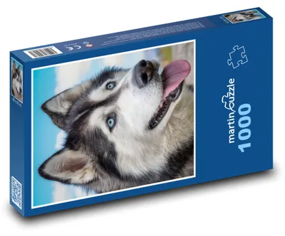 Obrázek produktu pro Puzzle 1000 Husky s Modrýma Očima - martinpuzzle