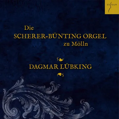 Immagine prodotto di L'organo Scherer-Bünting di Mölln