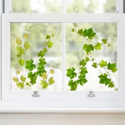 Produktbild von Supzone Fensterbilder Selbstklebend Grüne Blätter Fensteraufkleber Sommer Frühling Weinrebe Fenstersticker Anti-Kollision Vögel Fensterfolie Glastüren Fensterdeko