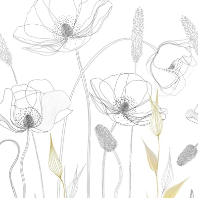 Produktbild von Fototapete Floral M1-No.11626 | Vliestapete Pflanzen | Weiß | Schwarz | Wohnzimmer | Schlafzimmer