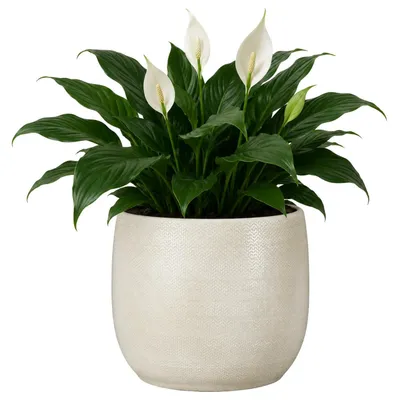 Produktbild von Mica Decorations Pflanzentopf - Keramik - weiss glanzend / gerippt - D28 x H29 cm - Blumentopf Porto