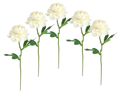 Kunstblumen Ranunkeln Set 5 Stück 35 cm Seidenblumen