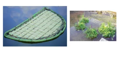 Produktbild von Aquaforte schwimmende Pflanzinsel halbrund, 121cm Koi Teiche