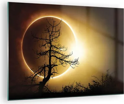 Produktbild von Bilder auf glas - Einteilig - Sonnenfinsternis die Sonne Baum - 70x50cm - Glasbilder - Wandbilder - Bilder - Wanddekoration aus Glas - Glas Bilder - Wandbild auf Glas - GAA70x50-4349
