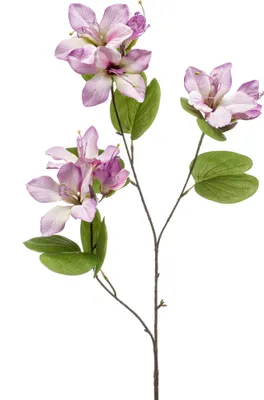 Produktbild von künstliche Orchidee Bauhinien lila H. 87cm Emerald Kunstblumen WA