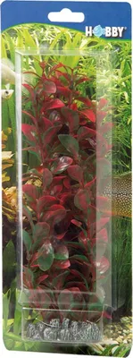 Immagine prodotto di Hobby Ludwigia, 25 cm - pianta in plastica per acquari