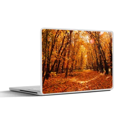 Produktbild von MuchoWow® Laptop Aufkleber Sticker Cover Herbst - Wald - Laub - Jahreszeiten 25x18 cm - Laptop-Deko