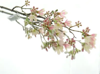 Produktbild von GASPER Scheinquittenzweig Rosa 51 cm - Kunstblumen