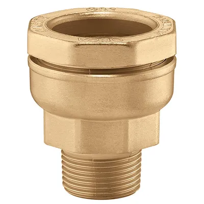 Obrázok produktu pre Caleffi 862 Anschlussverschraubungen mit AG, reduziert 50 mm x 1 1/4"