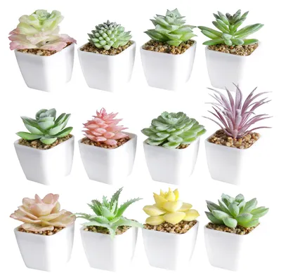 Image de Tiita : Plantes succulentes artificielles en pots, plantes décoratives, céramique