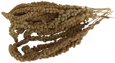 Productafbeelding van Aimé vogelzaad, 0,25 kg