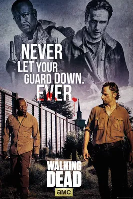 Obrázek produktu pro Walking Dead - Plakát - Rick a Morgan