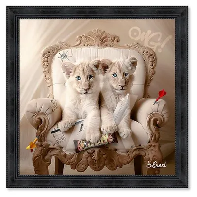Image de Cadre en bois avec impression en PVC vernis "Lionceaux Luxury" - Noir - 60 x 60 cm - Collection Binet