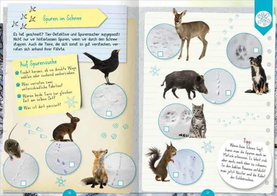 Produktbild von Naturforscher-Kids - Mitmach-Buch für unterwegs