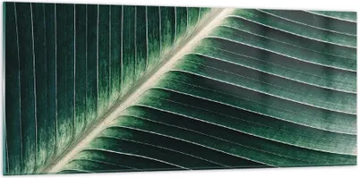 Produktbild von Bilder auf glas - Einteilig - Grün Blatt Tropisch - 120x50cm - Glasbilder - Wandbilder - Bilder - zum Aufhängen bereit - Wanddekoration aus Glas - Glas Bilder - Wandbild auf Glas - GAB120x50-4126