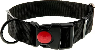 Immagine prodotto di Obroża z taśmy 4wild 40 mm 39-61 cm czarna