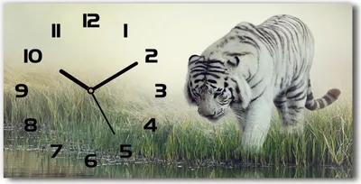 Produktbild von Wanduhr aus Glas – 60x30 cm - Glasbild - Glasuhr - Gehärtetes Glas - schwarze-zeiger - weißer Tiger