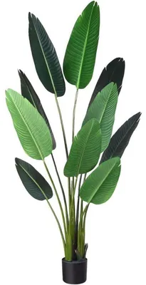 Produktbild von Künstliche Paradiesvogel-Baumpflanze 160 cm Tropische grüne Palme für Innen- und Außendekoration 1 Stück