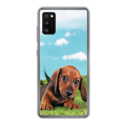 Produktbild von MuchoWow® Handyhülle Schutzhülle Hülle für Samsung Galaxy A41 Schöner Himmel über einem niedlichen Dackelwelpen Silikon Softcase Handy Hülle - Mobiltelefon