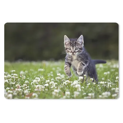 Produktbild von MuchoWow® Schreibtischunterlage Ein Kätzchen in einem Kleefeld 60x40 cm - XXL Mauspad - Großes Mauspad