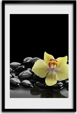 Produktbild von Bild - Bilderrahmen - 40 cm x 60 cm - MDF - Rahmen - Wandkunst - Orchidee und Steine